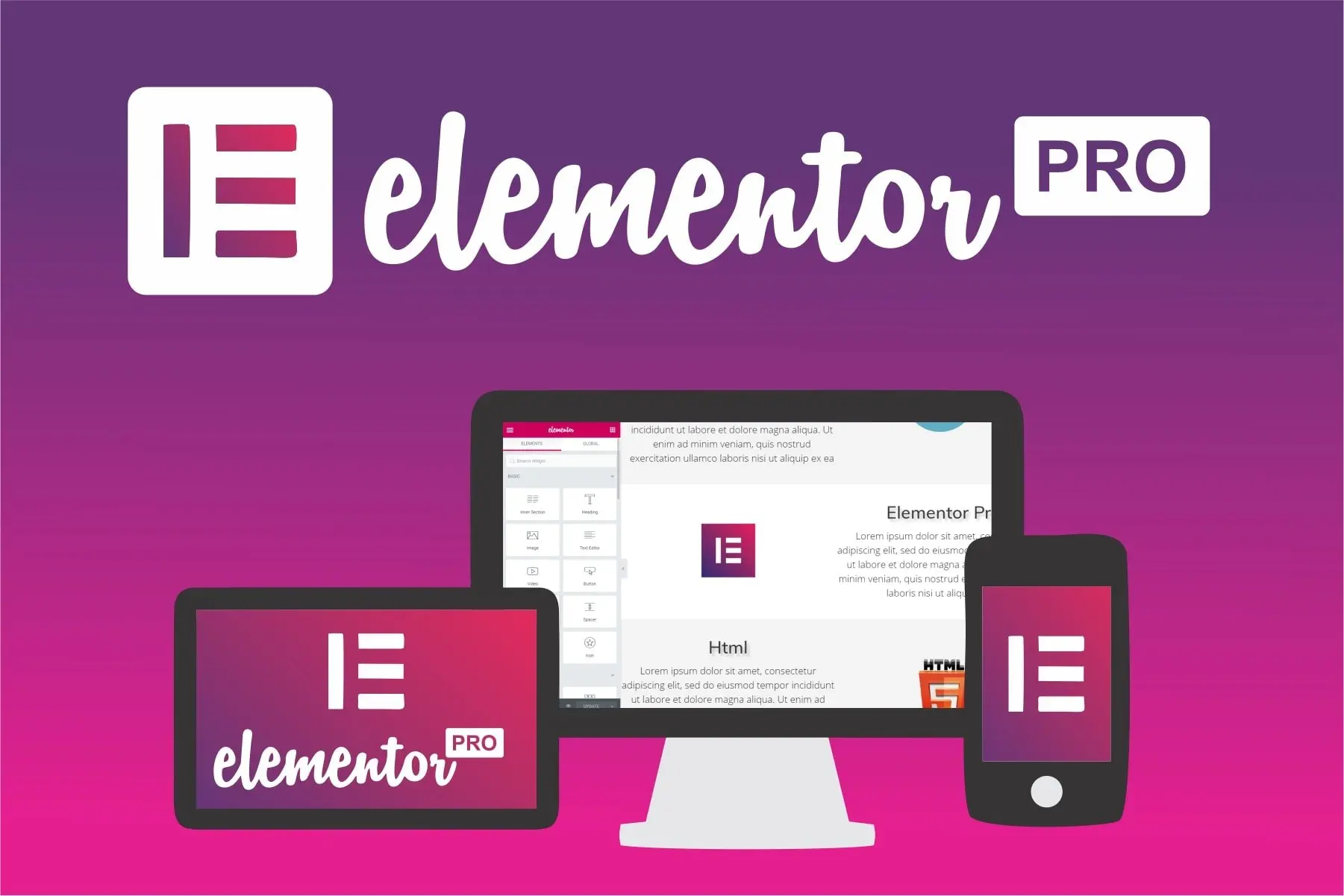 Plugin Wordpress elementor pro